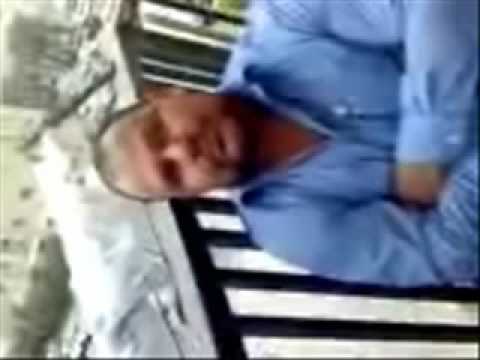 عصفور الحزين