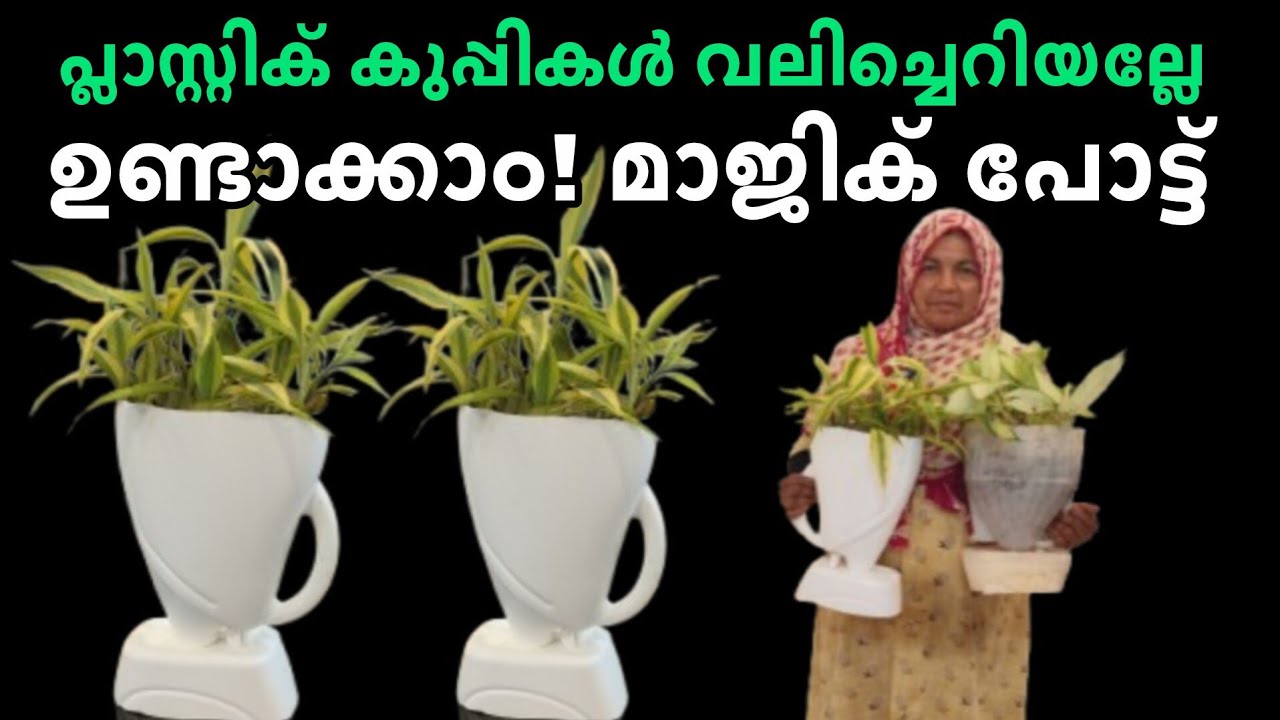 പാഴ് വസ്തുക്കൾ ഉപയോഗിച്ച് മനോഹരമായ ചെടിച്ചട്ടികൾ ഉണ്ടാക്കിയാലോ 👌👌