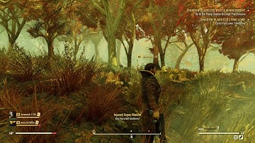 Fallout 76 random encounter: injured super mutant