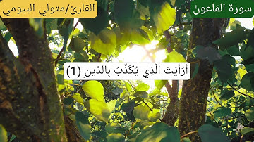 سورة الماعون القارئ متولى البيومى