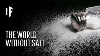 What If There Was No Salt in the World?