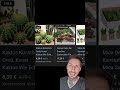 Leopardengeckos einfach halten. #terrarium #foryou #reels #viralvideo #tiere #reptiles #animals