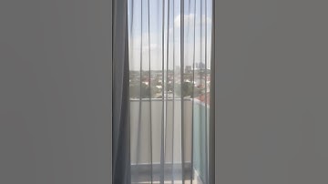 Spring vibes #shorts #shortsvideo #spring #vibes #spring2024 #2024 #fyp