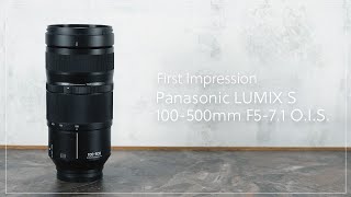 新品)Panasonic (パナソニック) LUMIX S 100-500mm F5-7.1 O.I.S. S
