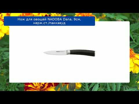 Нож для овощей NADOBA Dana, 9см, нерж.ст./паккавуд