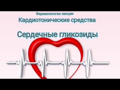 Фармакология лекции. Кардиотонические средства. Сердечные гликозиды.