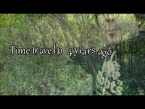 4 year flashbacks and a discussion about Staghorn Sumac