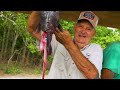 Middle of video