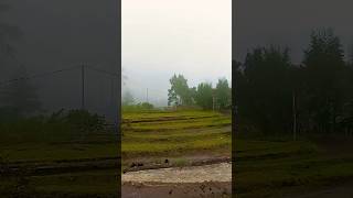 Download Lagu Wisata Puncak Pegunungan Di JATENG D'LAS Lembah Asri Purbalingga #shorts MP3