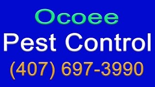 Pest Control Ocoee Florida | 407-697-3990 | Ocoee Termite Control