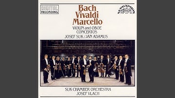 Concerto for Oboe, Strings and Continuo in C minor - Allegro moderato