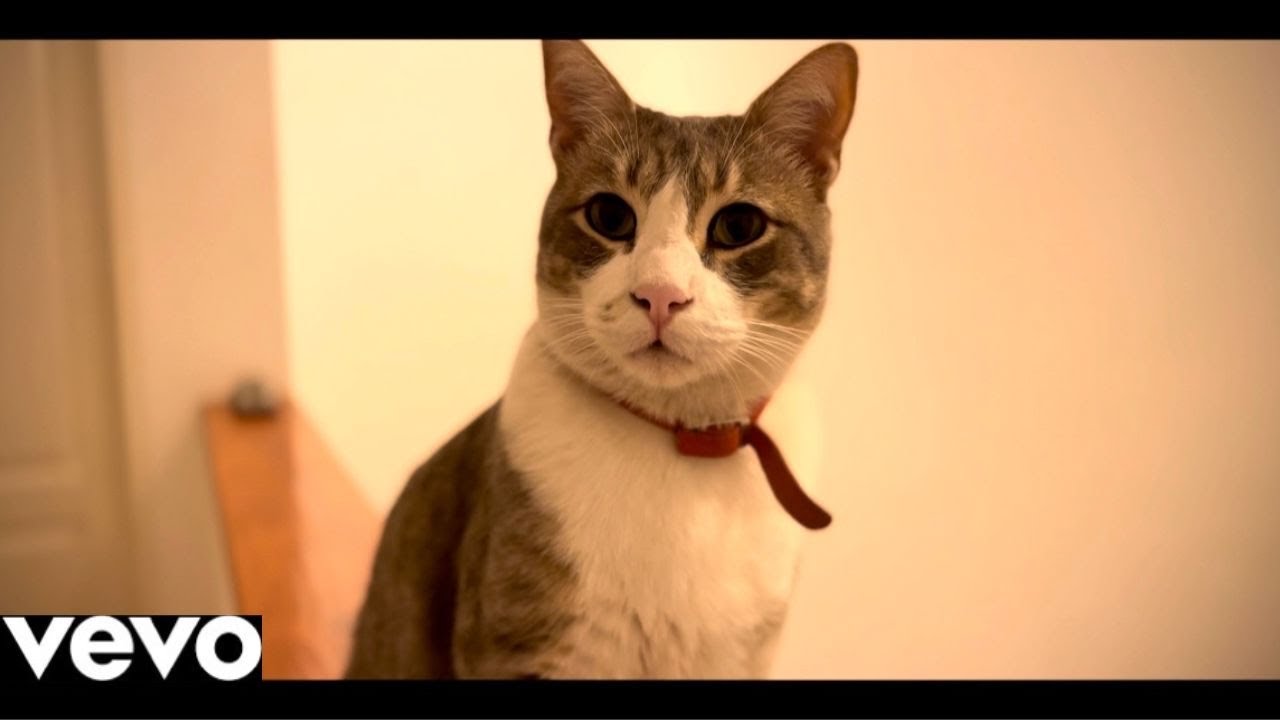 Carismático Player - Sos Todo para Mi (Official Video)