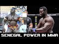 SENEGAL POWER AT WORK ▶ OUMAR &quot;REUG REUG&quot; KANE POWERFULL FINISHES [HD] 2023