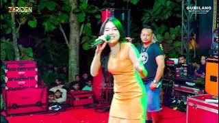 ZARIDEN MUSIC - NGAMEN 10 - DINDA TERATU - PARTY IPS - SUMBERMULYO TLOGOWUNGU PATI