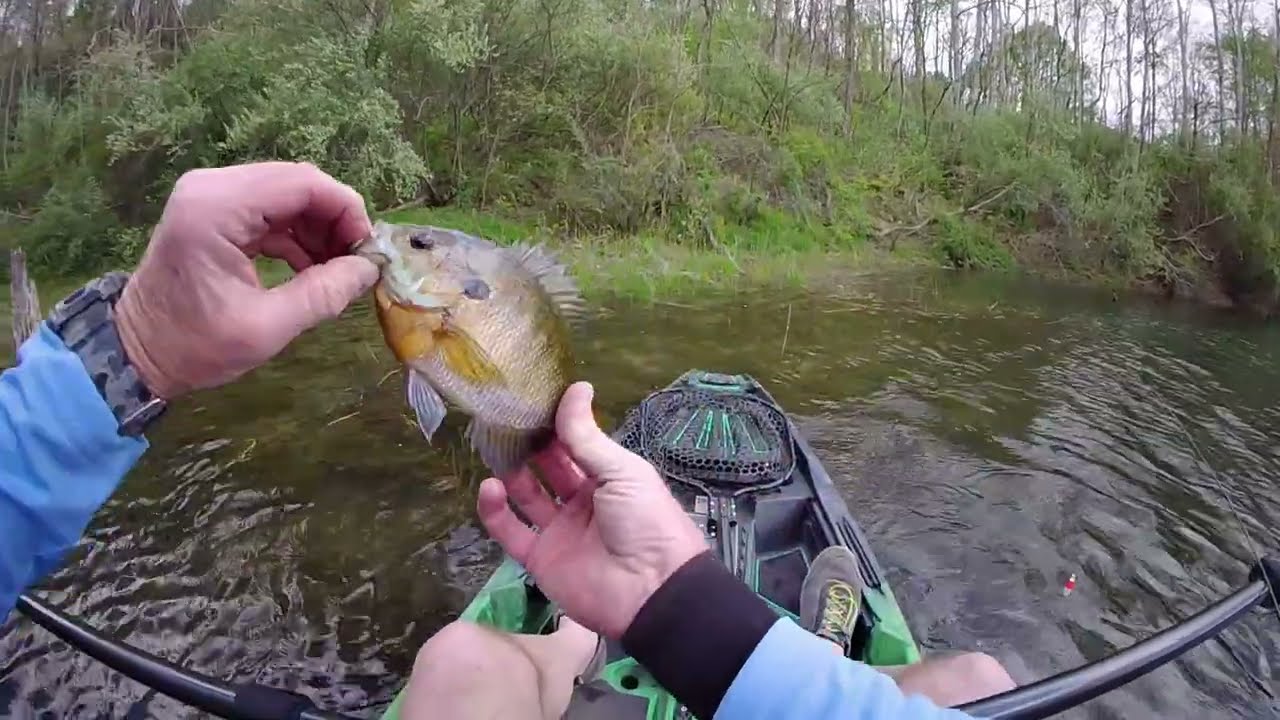 Ohio Power pond fishing