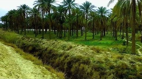 قصة صاحب الجنتين   سورة الكهف