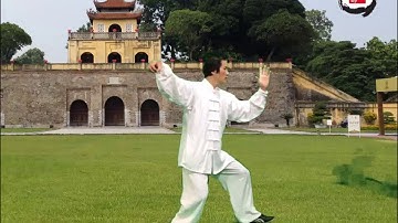 THÁI CỰC QUYỀN 16 THỨC - HOÀNG THÀNH