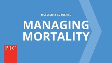 Managing Mortality | Pig Improvement Company