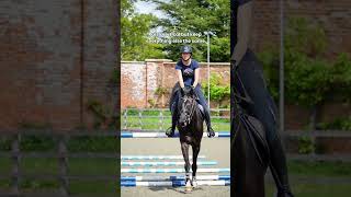 Ep 7 Grid Work Exercise Progression #horse #showjumping #equestrian #horseriding #horsegirl