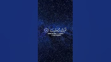 سورة الروم || اللَّهُ يَبْدَأُ الْخَلْقَ ثُمَّ يُعِيدُهُ ثُمَّ إِلَيْهِ تُرْجَعُونَ