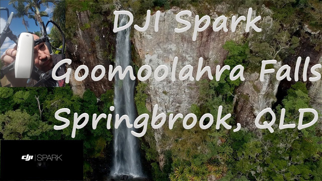 Goomoolahra Falls Springbrook National Park, Queensland