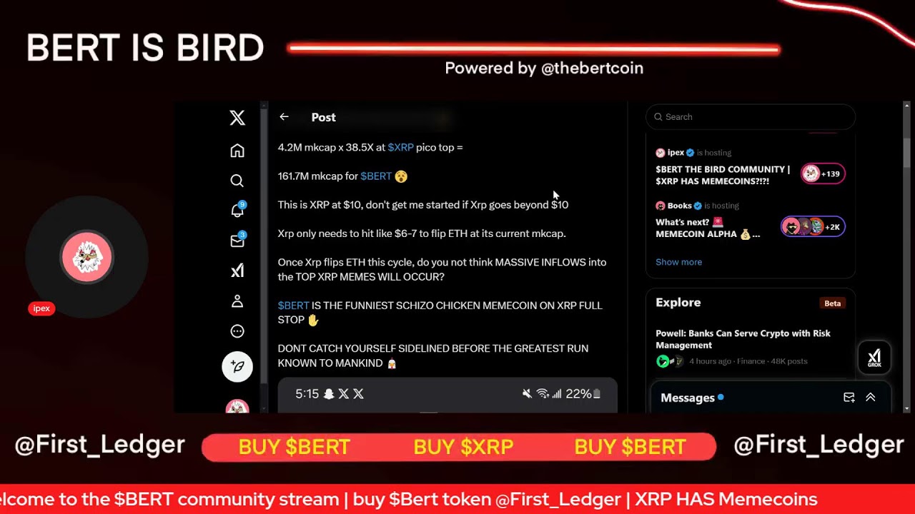 $BERT THE BIRD COMMUNITY | $XRP HAS MEMECOINS?!?!