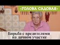 Голова садовая - Борьба с вредителями на дачном участке