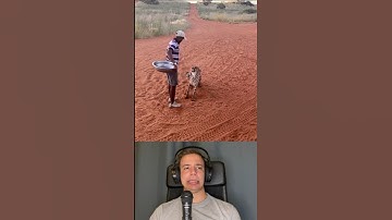 Cheetah Interacting With Human - By jangwasafaris