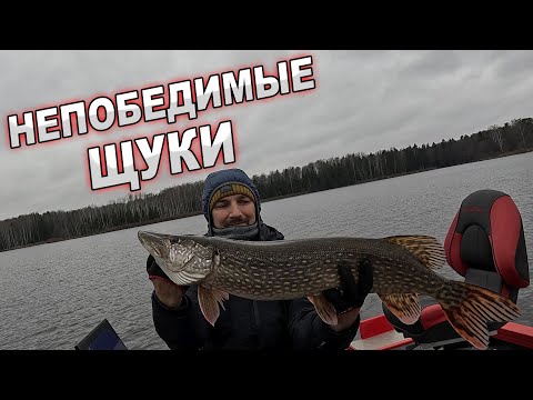INVINCIBLE PIKE