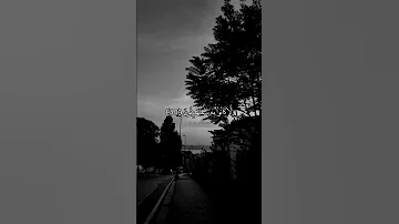 يا حسرة علي العباد بصوت الشيخ حسن صالح حالات واتس قرأن كريم 