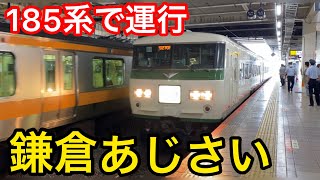 【車窓】JR東日本185系 臨時『鎌倉あじさい号』《立川駅→鎌倉駅》