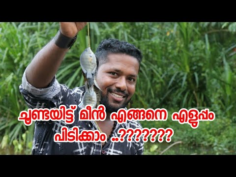 ചൂണ്ടയിട്ട് മീൻ എങ്ങനെ എളുപ്പം പിടിക്കാം ..?? | Tech | Malayalam - YouTube