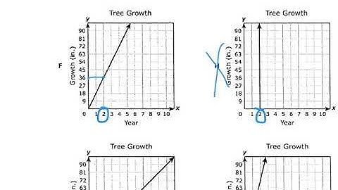 Unit 5 Benchmark review 8th grade