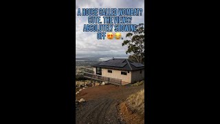Seaviews Wombat: A Peaceful Tasmania Escape Near Hobart #shorts