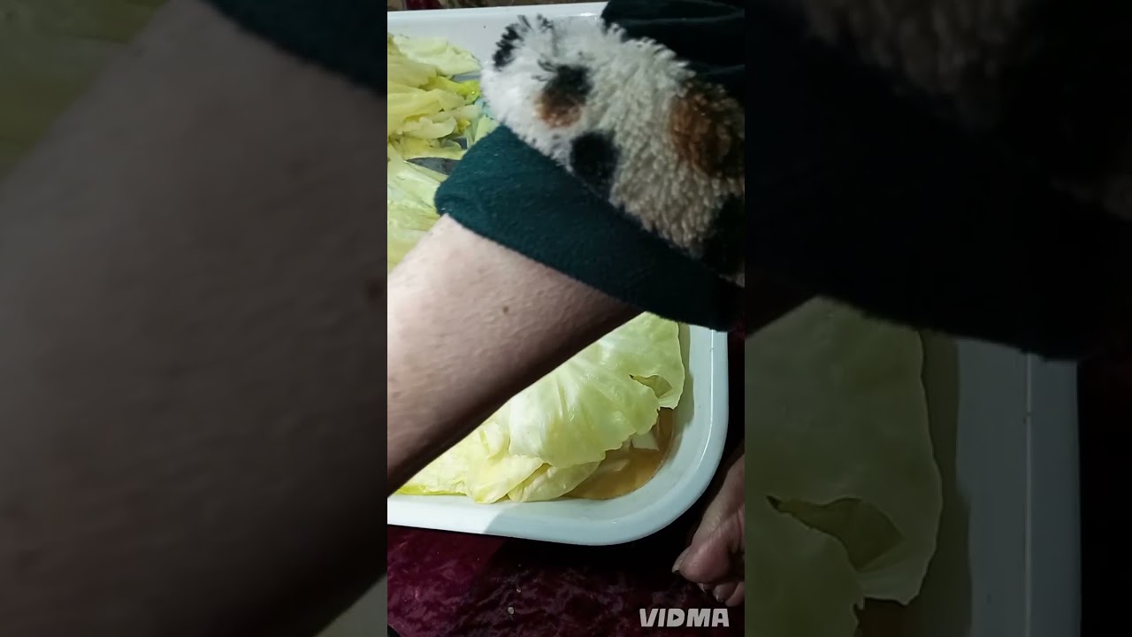 طريقه عمل محشي كرنب وفراخ محمره