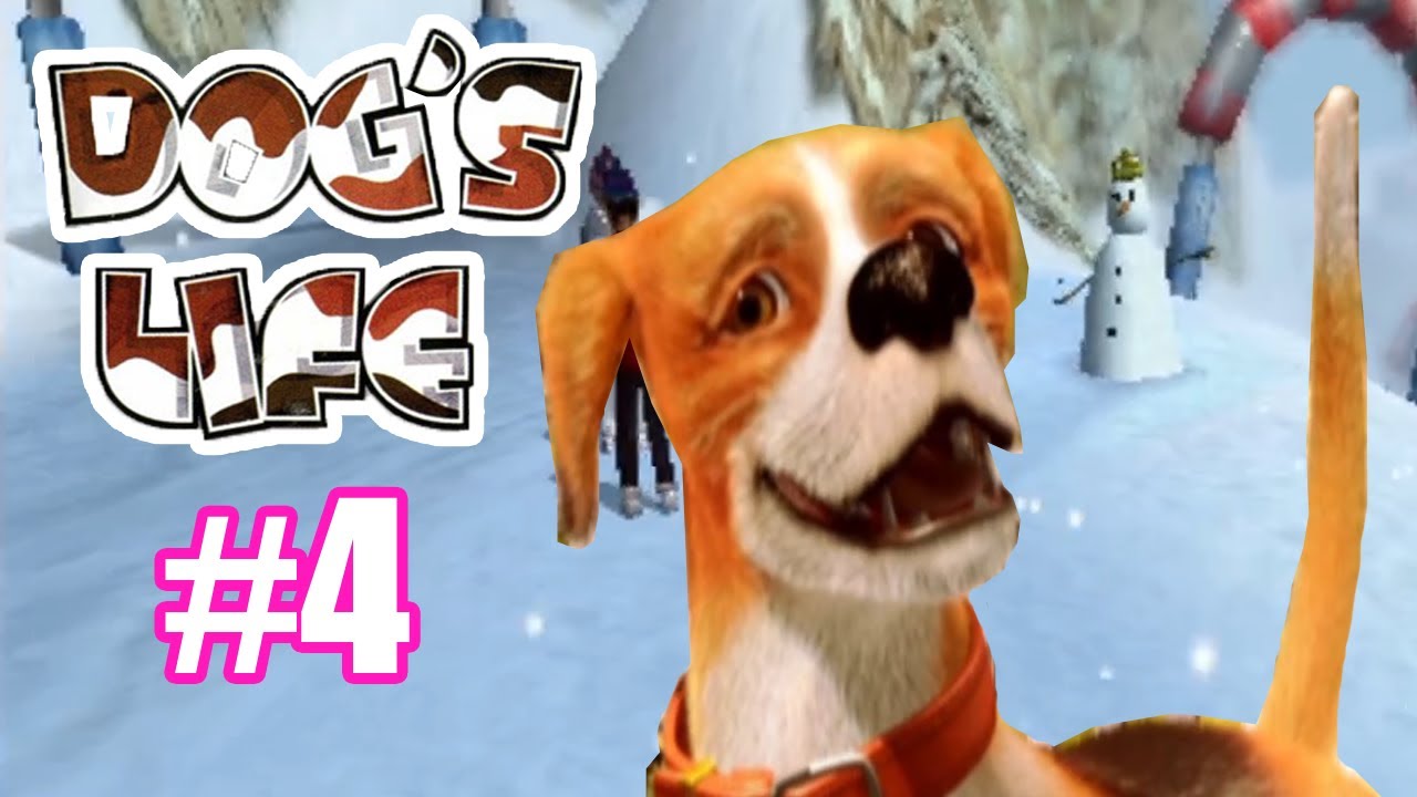 Dog's Life 4 Snow Dogs... the Sequel! YouTube