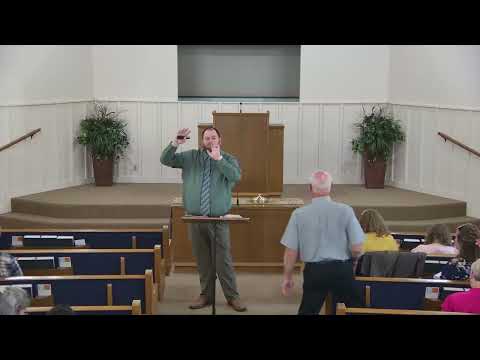 Video preview