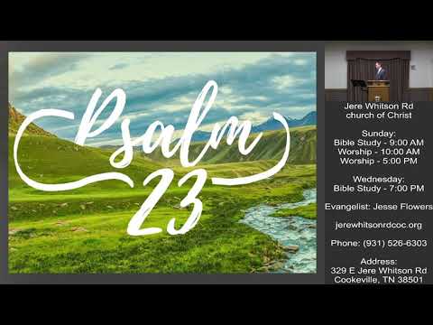 Video preview
