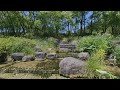 [VR180 3D] 10 min static japanese nature scenes 006 [Insta360 EVO 5.7K]