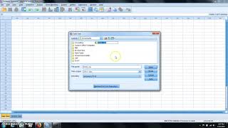 Data Conversion using SPSS from CSV to SAS Format