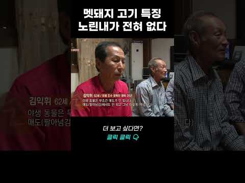 멧돼지 고기 특징? 노린내가 전혀 없다 | 리얼다큐 숨