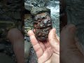 BB Semeru Sakralan #semeru #batuakik #akangabdoel #gemstone #bbs #semeru