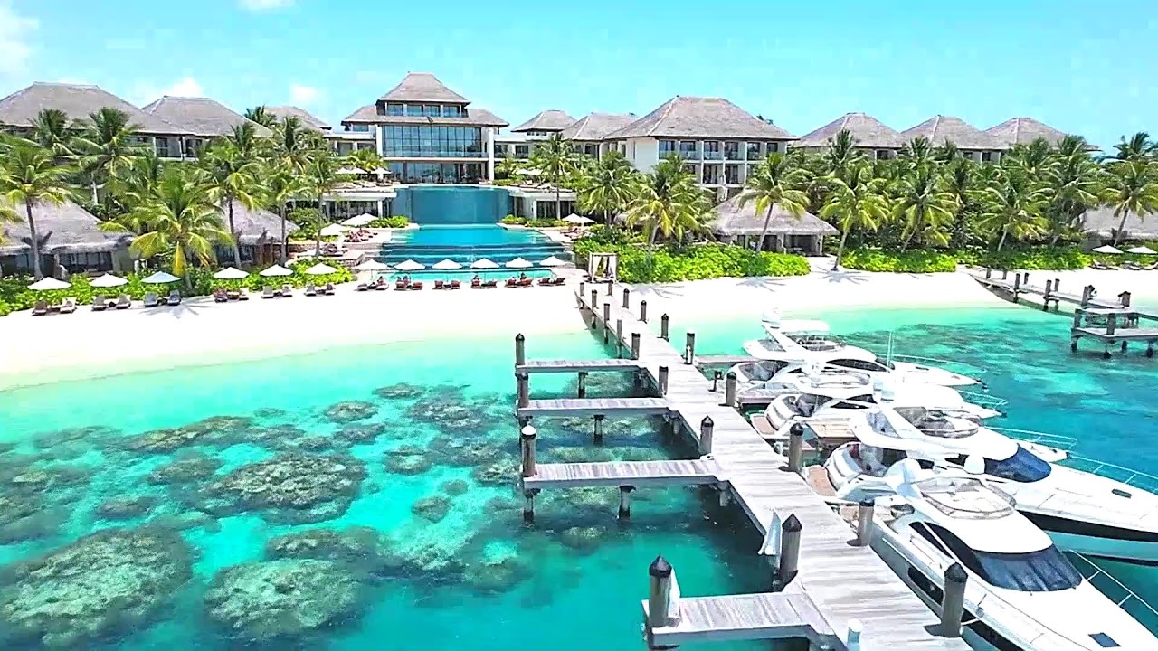 Slow Reggae Vibes 2025 – Chill Rhythms Feelings for Your Soul 🌴🎶