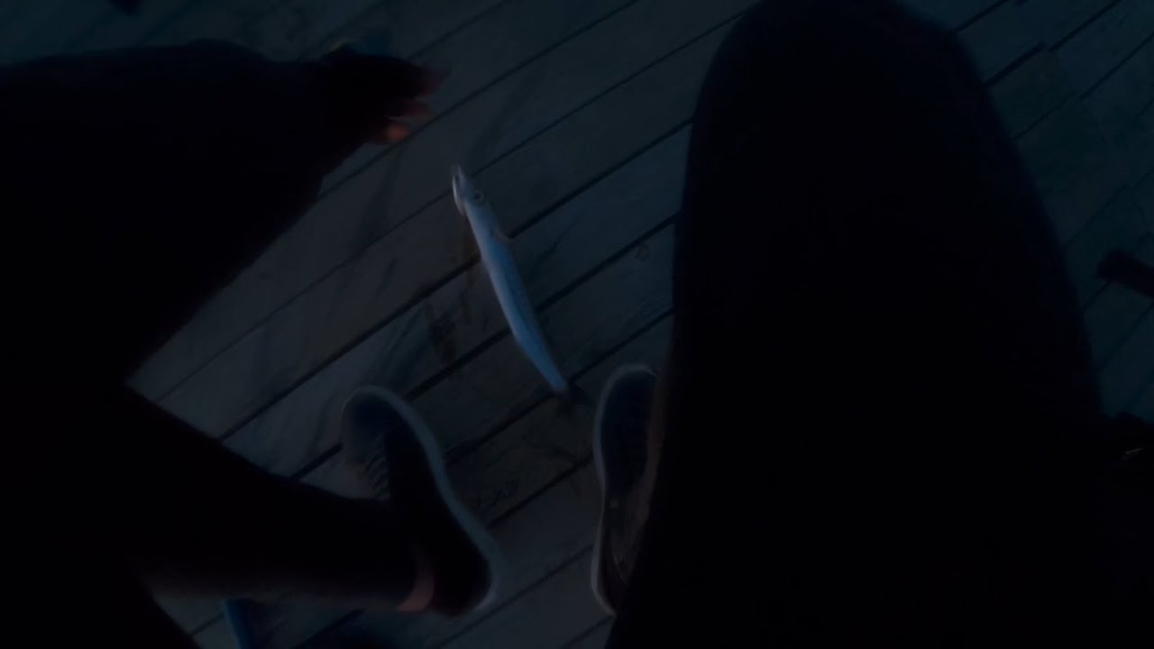 Bol Aksiyonlu Balık Avı / Kefal Sübye Turna