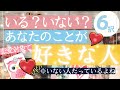 忖度なし いる いない あなたのことが好きな人 タロット占い 恋愛 いない人がいてもいい サクッと６択