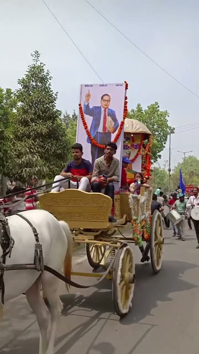 Dr Bhim Rao Ambedkar Song #song #dj #newsong #trending #love #jaibheem