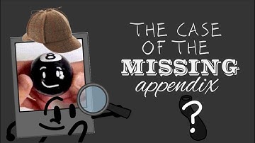 The Case of the MISSING Appendix