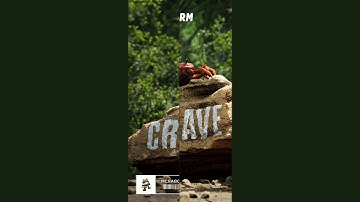 crab rave but every other beat is missing [CC]