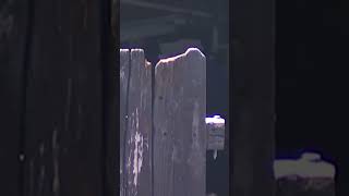 Troubled house packed with trash ordered to be cleaned up in Long Beach