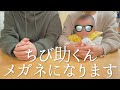 ちび助くんがメガネをかけることになりました